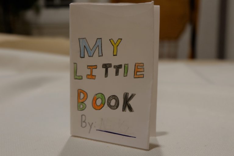 创意课：小小书（Craft: My Little Book)